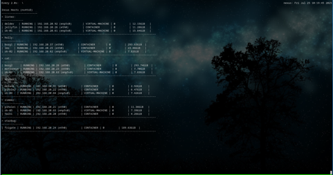 Incus Servers